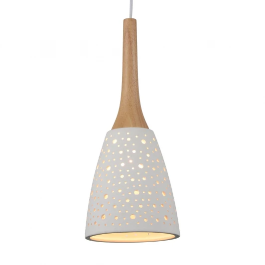SL288.503.01 Подвесной светильник ST Luce Clemenza SL288.503.01