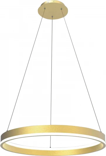 736402 Подвесной светильник светодиодный Lightstar Rotonda 736402 (220V, на тросе, кольцо)