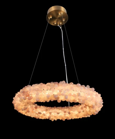 FL1155-5P Подвесная люстра светодиодная Fluorite Eternity FL1155-5P (220V, кольцо)