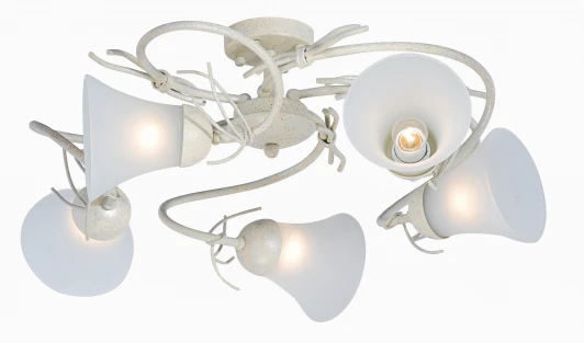 A4111PL-5WA Потолочная люстра Arte Lamp Brushwood A4111PL-5WA