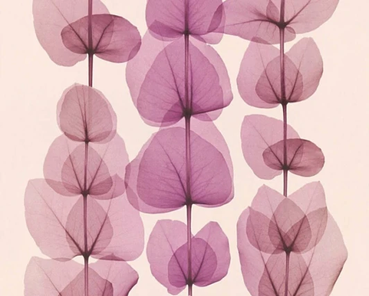 34245-3 Обои виниловые A.S. Creation X-Ray 34245-3 10,05 x 0,53 м