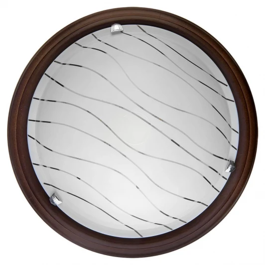TL9610Y-00PS Настенно-потолочный светильник Toplight Gabrielle TL9610Y-00PS