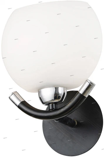 23-004-01W Snowlight 2300004 23-004-01W