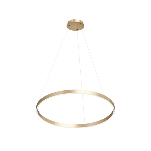 DK6272-SG Подвесной светильник кольцо светодиодный Denkirs Raydia DK6272-SG