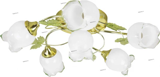 TC-994-506 Toscom Зеленый лист TC-994-506