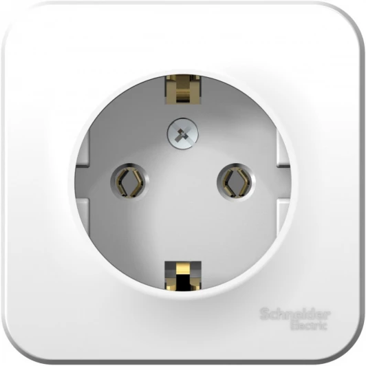 BLNRA010101 Розетка накладная с заземлением (белый) Systeme Electric Blanca BLNRA010101