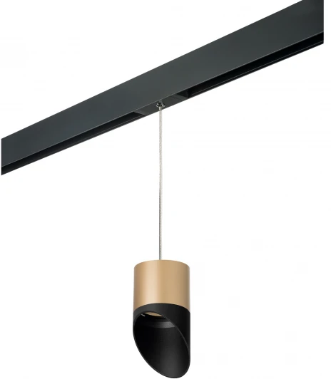 PRORP349087 Трековый светильник однофазный 220V Lightstar Rullo PRORP349087 (круглые)