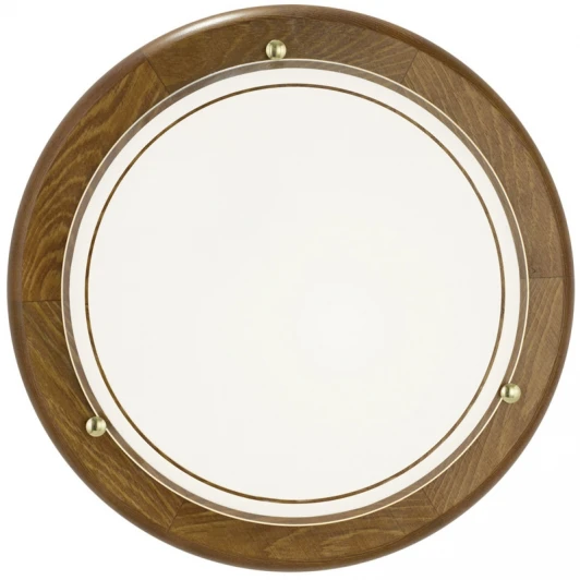 3891 Настенно-потолочный светильник Eglo Ufo 1 3891