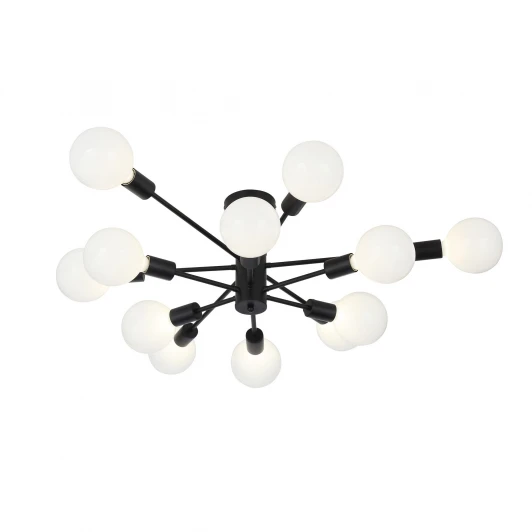 SL419.402.12 Потолочная люстра ST Luce Ano SL419.402.12