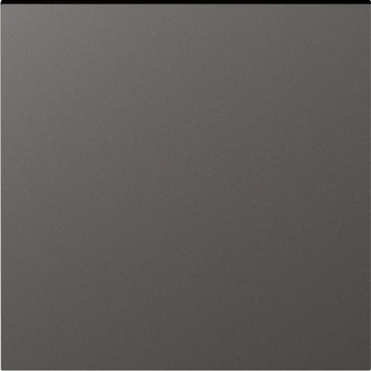 DE29745 Клавиша 1-я для перекрёстного переключателя, матовый титан Donel A07 DE29745