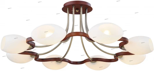 23-008-08CL Snowlight 2300008 23-008-08CL