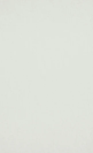 BN 17116 Рулонные обои BN International BN 17116