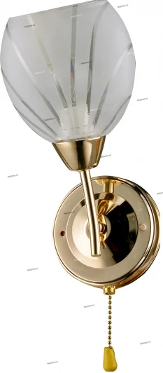 100/1A Myone 100 100/1A