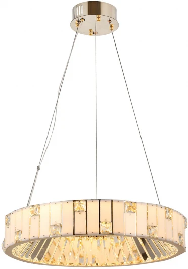 LSP-7494 Подвесной светильник светодиодный Lussole LSP-7494 (220V, на тросе, кольцо)