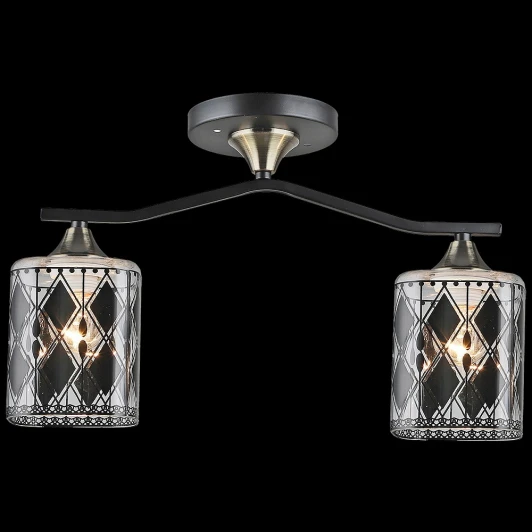 01700-0.3-02 Потолочная люстра на штанге Reluce 01700-0.3-02 (220V)