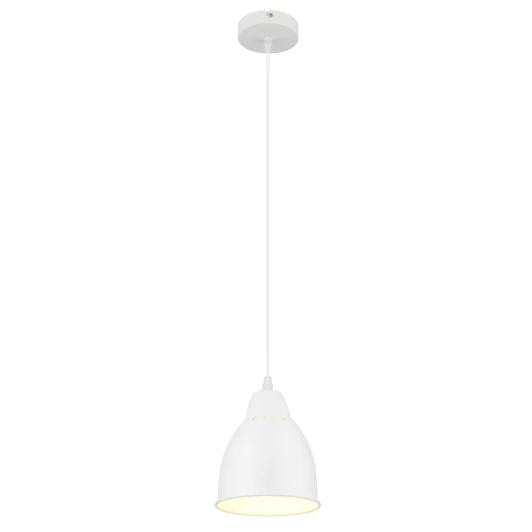 A2054SP-1WH Подвесной светильник Arte Lamp Braccio A2054SP-1WH