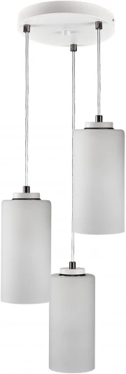 PND141.03.04.001.WH-S16WH Подвесной светильник 33 ИДЕИ PND141.03.04.001.WH-S16WH (220V, на проводе, круглые)