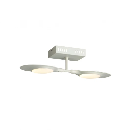 SL824.501.02 Настенно-потолочный светильник ST Luce Farfalo SL824.501.02