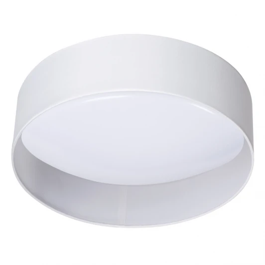 36461 Потолочный светодиодный светильник LED 17,5W WW W/W Kanlux Rifa 36461