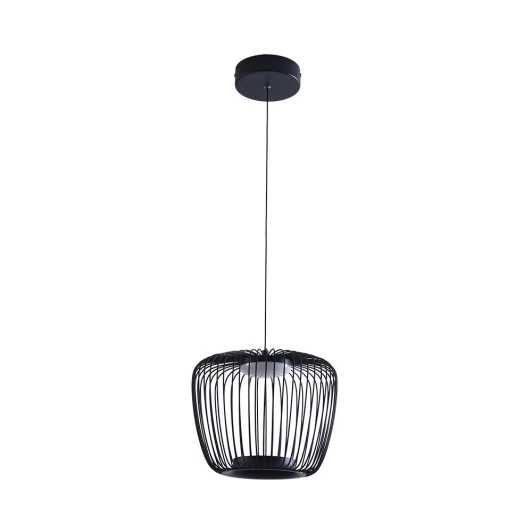 A3529SP-12BK Подвесной светильник Arte Lamp Flare A3529SP-12BK (LED, 220V, на проводе)