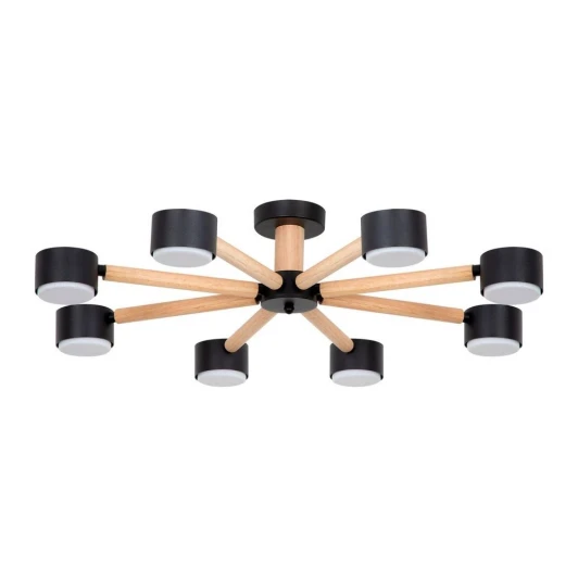 A1624PL-8BK Потолочная люстра на штанге Arte Lamp Tenda A1624PL-8BK