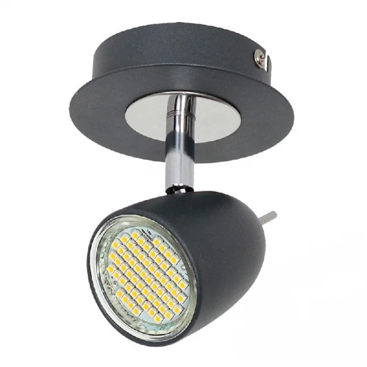 6495 Спот Luminex Taylor 6495