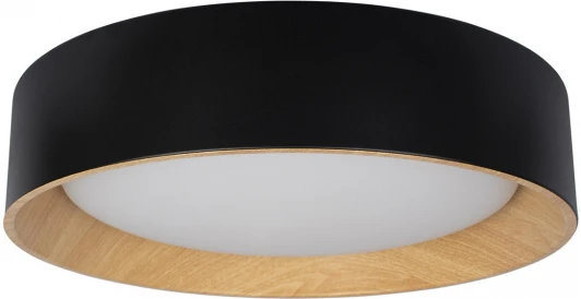 10202 Black Потолочный светильник круглый Coin 10202 Black Loft It (LED, 220V, круглые)