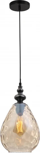 TL1171H-01AB Подвесной светильник Toplight Adela TL1171H-01AB (220V, на проводе, круглые)