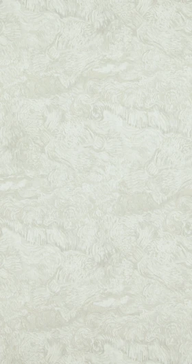 BN 17172 Рулонные обои Van Gogh 17172