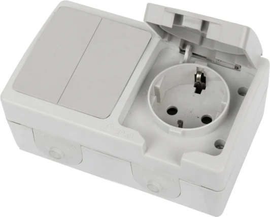 49729 Розетка с заземлением с двухклавишным выключателем (белый,серый) Stekker Велена 49729