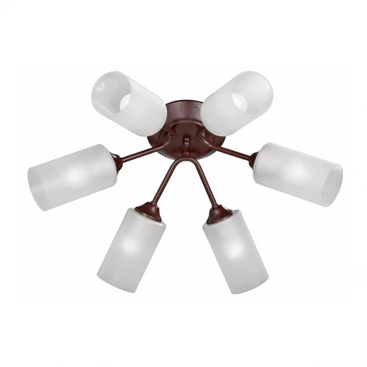 V3740-7/6PL Потолочная люстра Vitaluce V3740-7/6PL (220V)