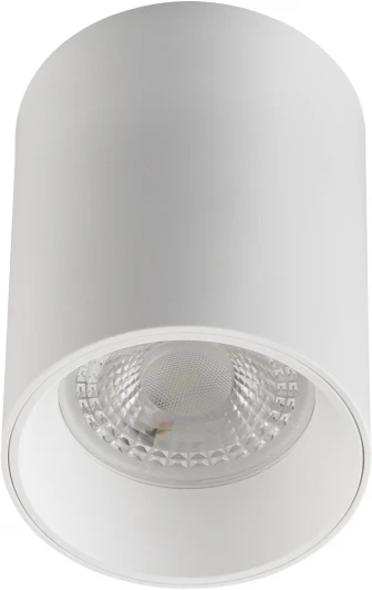 DK3110-WH Точечный накладной светильник DK3110-WH