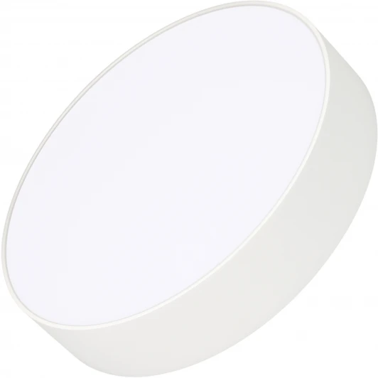 022233(2) Потолочный светильник LED круглый SP-RONDO-R250-30W Warm3000 (WH, 120 deg, 230V) (Arlight, IP40 Металл) 022233(2)
