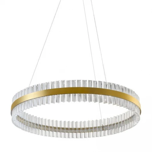 L45210.86 Подвесная люстра L'Arte Luce Saturno L45210.86 (LED, 220V, на тросе, круглые)