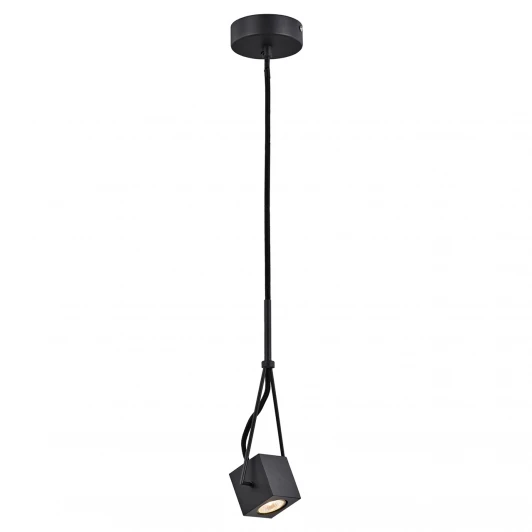 LSP-9680 Подвесной светильник Lussole Loft LSP LSP-9680