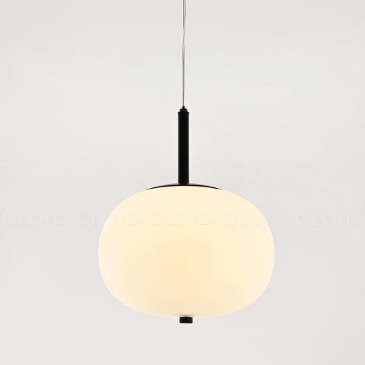 11362 Подвесной светильник светодиодный в форме шара Cloyd Avogadro 11362 (220V, на тросе, шар)