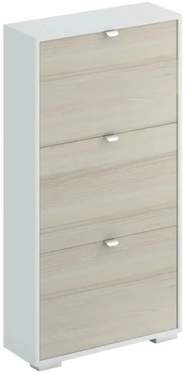 434529 Шкаф для обуви Reggy 3 ОГОГО 434529