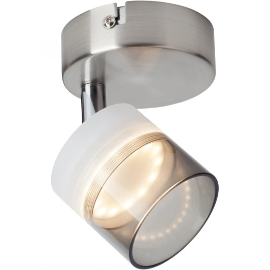 TL1230Y-01SN Спот Toplight Rosa TL1230Y-01SN (LED)