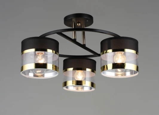 000060447 Потолочная люстра на штанге Мелодия Света 000060447