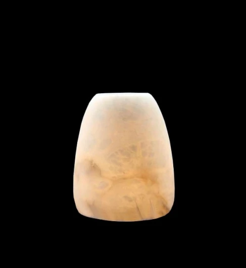 FL1036-3T Настольный светильник Fluorite Magia FL1036-3T (LED)