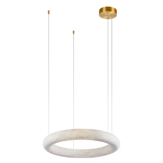 10407/600 Подвесной светильник светодиодный кольцо Loft It Oslo 10407/600 (220V, на тросе, кольцо)