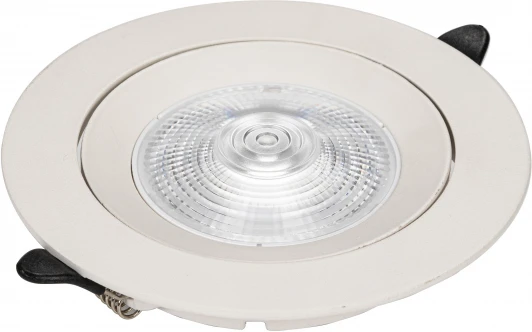 ZRS.57795.10 Встраиваемый светодиодный светильник Zortes Raiz ZRS.57795.10 (220V, круглые)