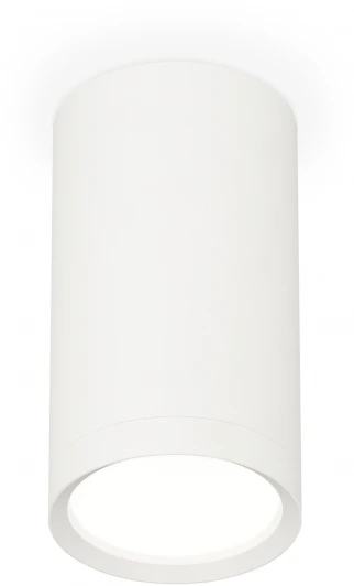 XS8161001 Накладной точечный светильник Ambrella Techno Spot XS8161001 (220V, круглые)