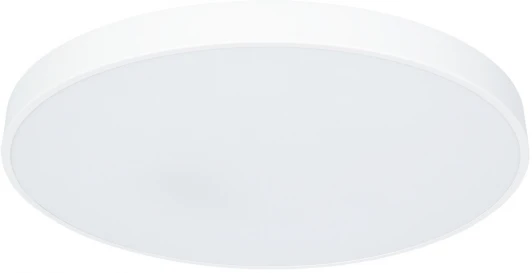 A2671PL-1WH Потолочный светильник Arte Lamp Arena A2671PL-1WH