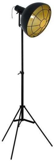 49674 Торшер Eglo Cannington 49674