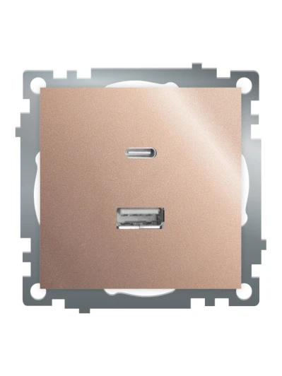 50056 Розетка USB Type A+С (шампань) Stekker Катрин 50056