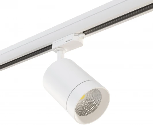 301562 Трековый светильник Lightstar Canno 301562