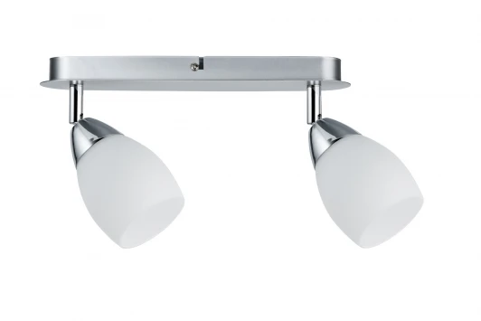 66683 Спот Paulmann Wolba 66683