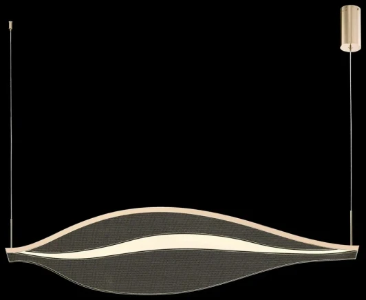 WE450.01.343 Подвесной светильник Wertmark Hetti WE450.01.343 (LED, 220V, на проводе)