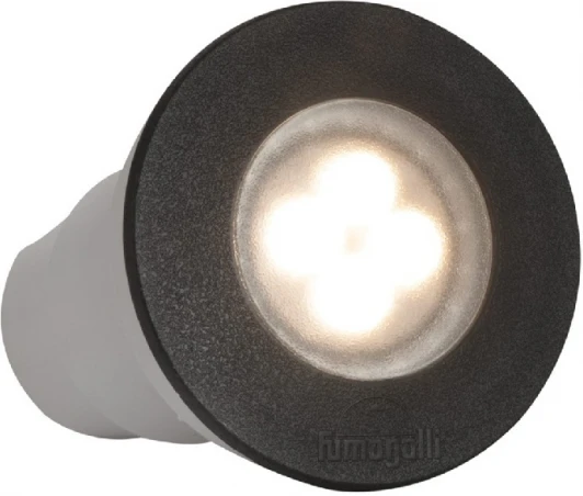 1F1.000.000.AXU1L Встраиваемый светильник уличный Fumagalli CECI 1F1.000.000.AXU1L (220V, круглые, IP67)